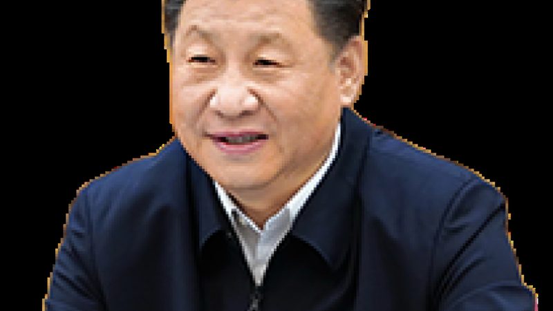 广州纺织印染助剂：揭秘十大品牌背后的技术奥秘**